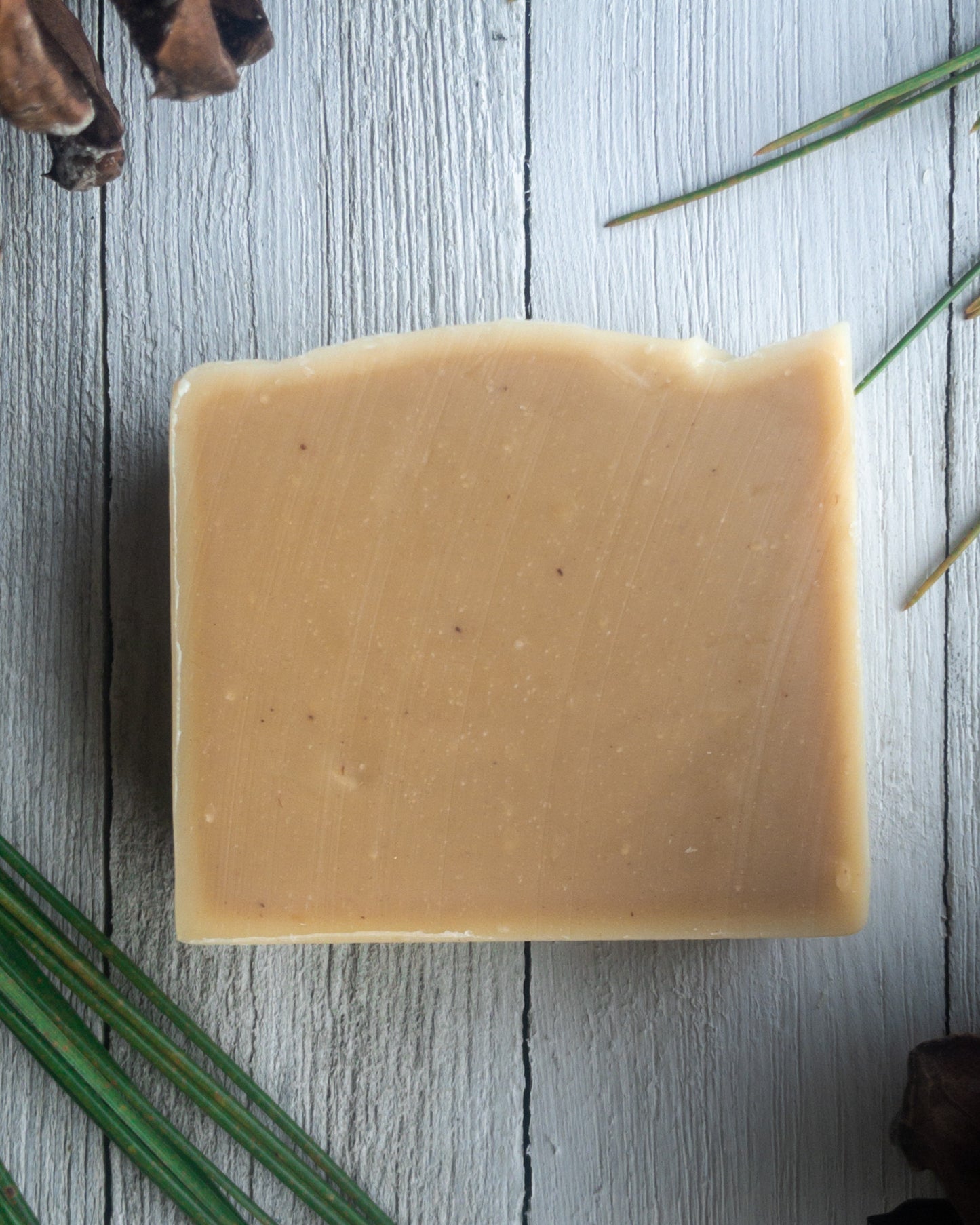 Native Plant Sustainable Soap Collection