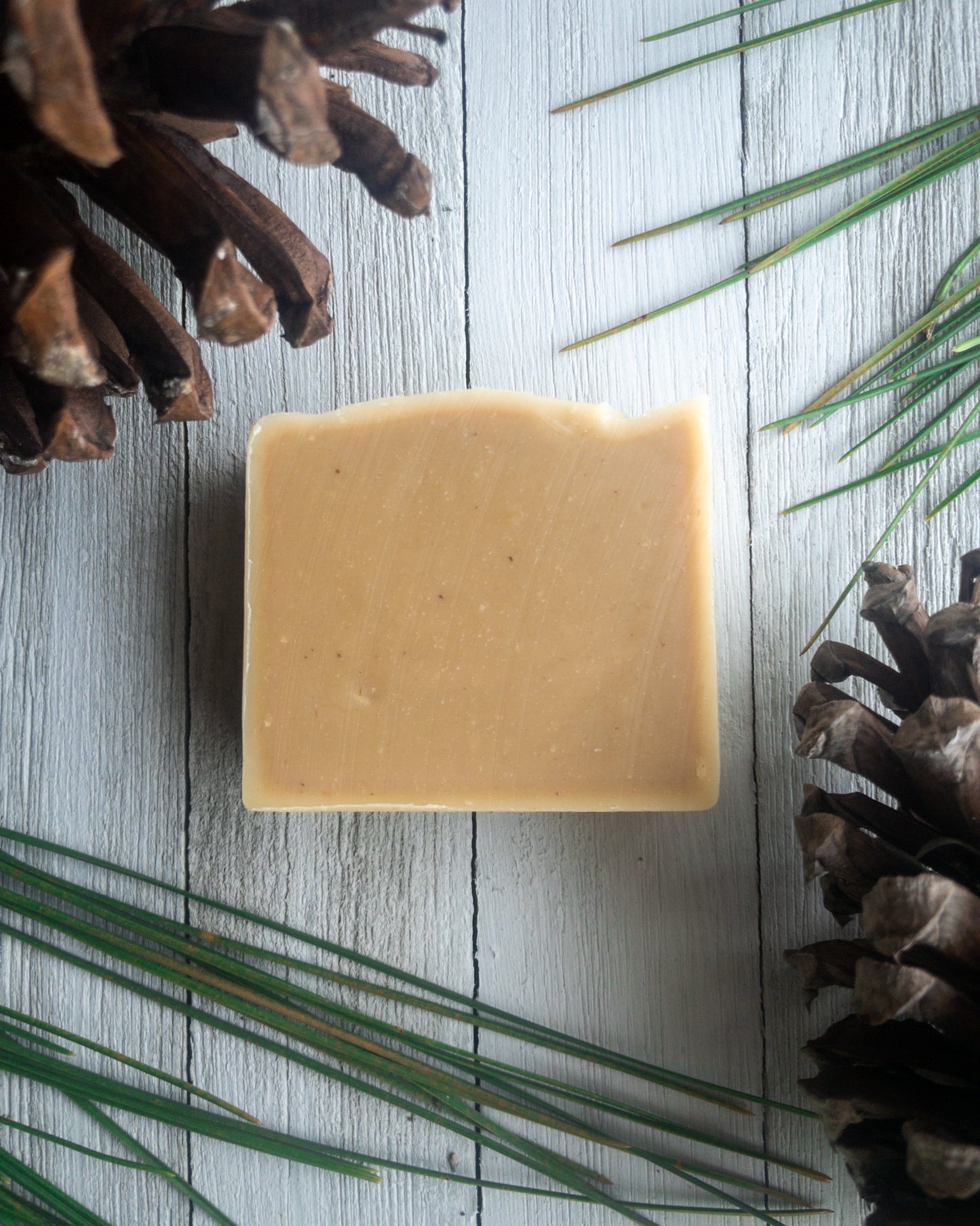 Native Plant Sustainable Soap Collection