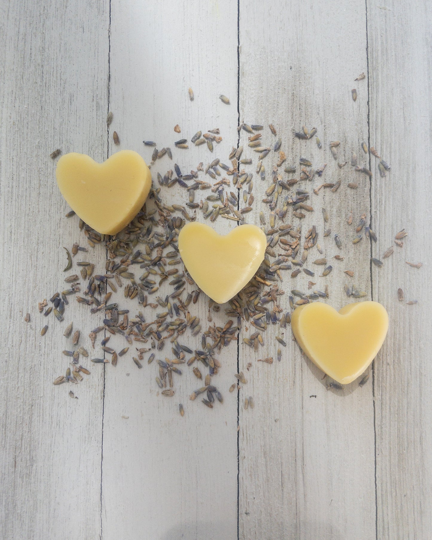 Lavender Massage Bars