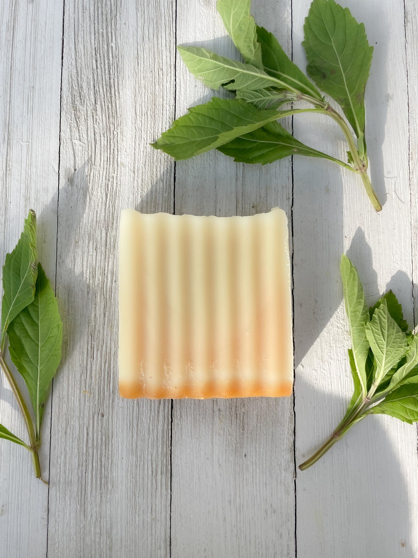 Native Plant Sustainable Soap Collection