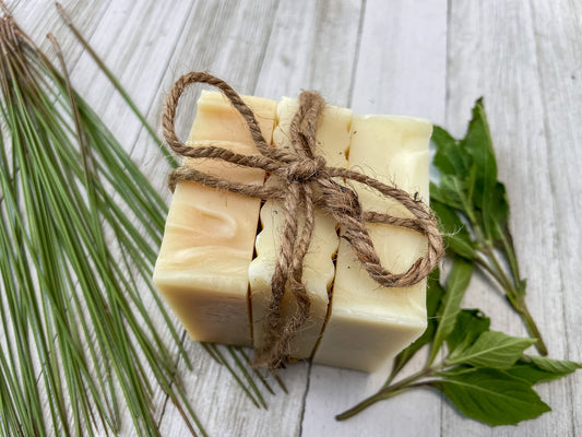 Native Plant Sustainable Soap Collection