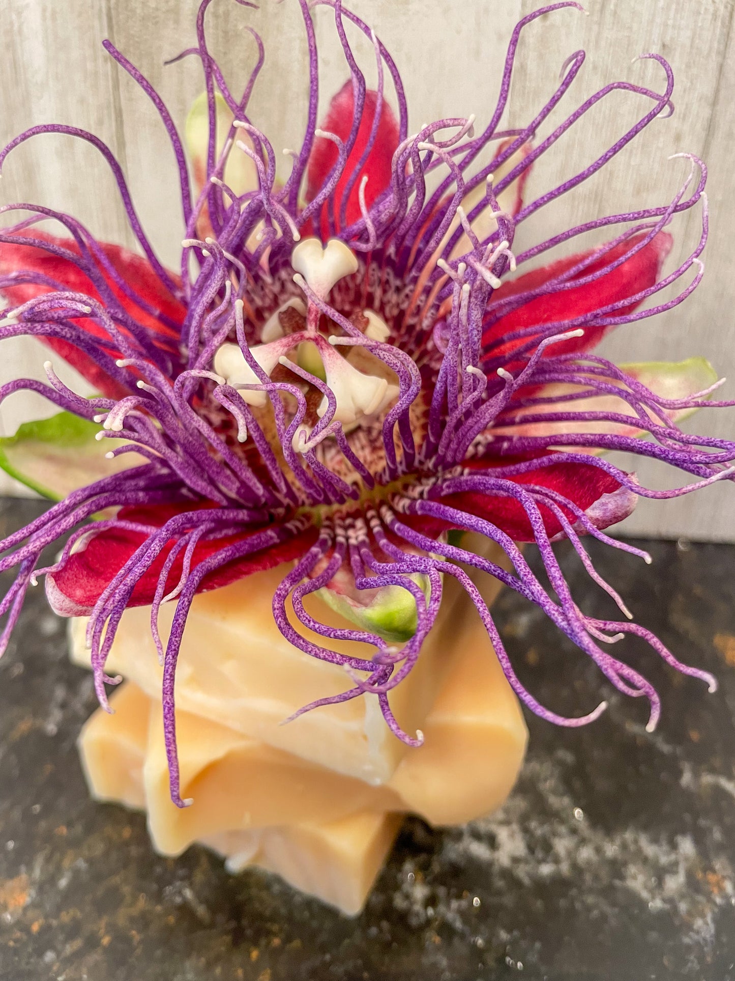 Honey Passionflower Native Plant Soap