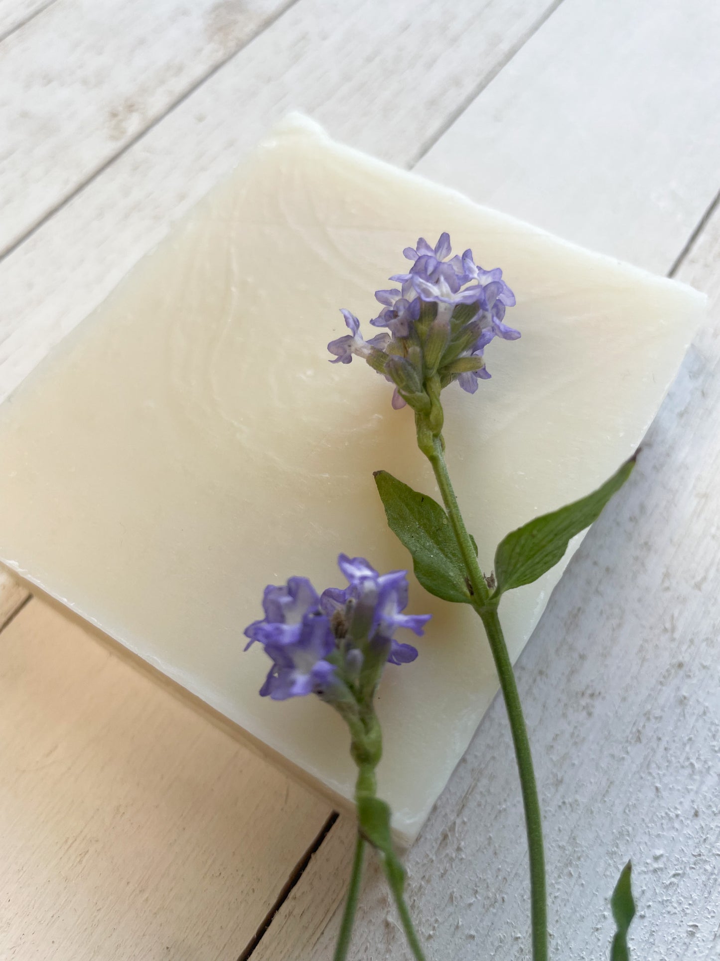 Honey Lavender soap lays flat against a white panel board. two sprigs of lavender flowers rest on the soap bar. 