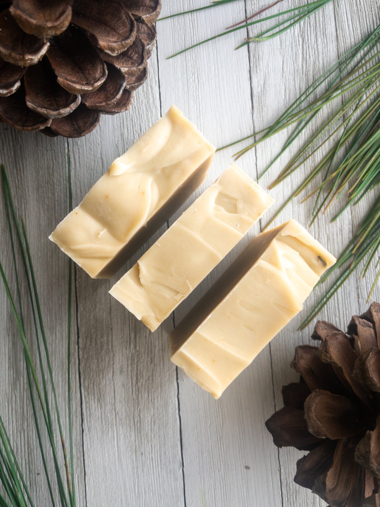 Longleaf Pine Native Plant Soap