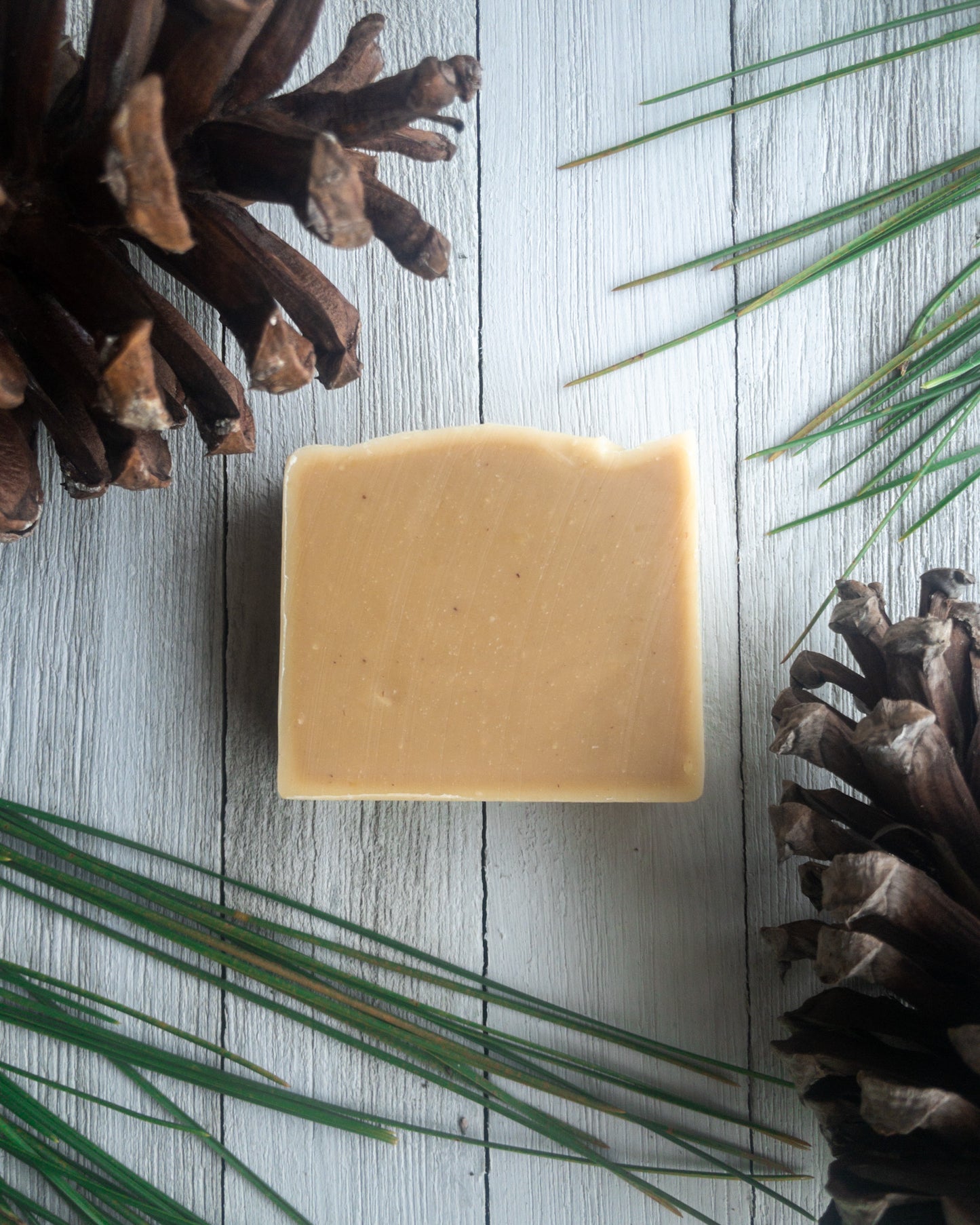 Longleaf Pine Native Plant Soap