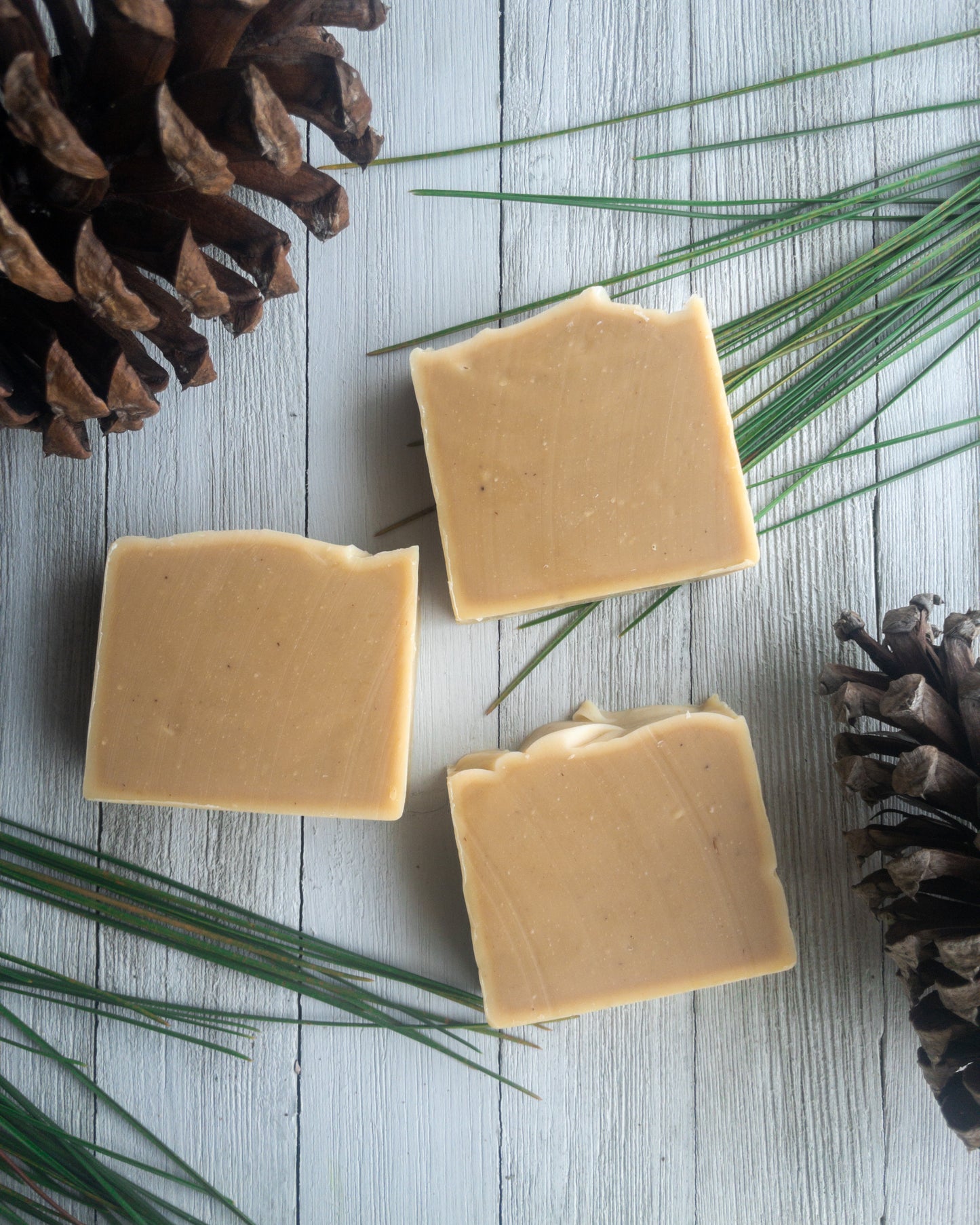 Longleaf Pine Native Plant Soap