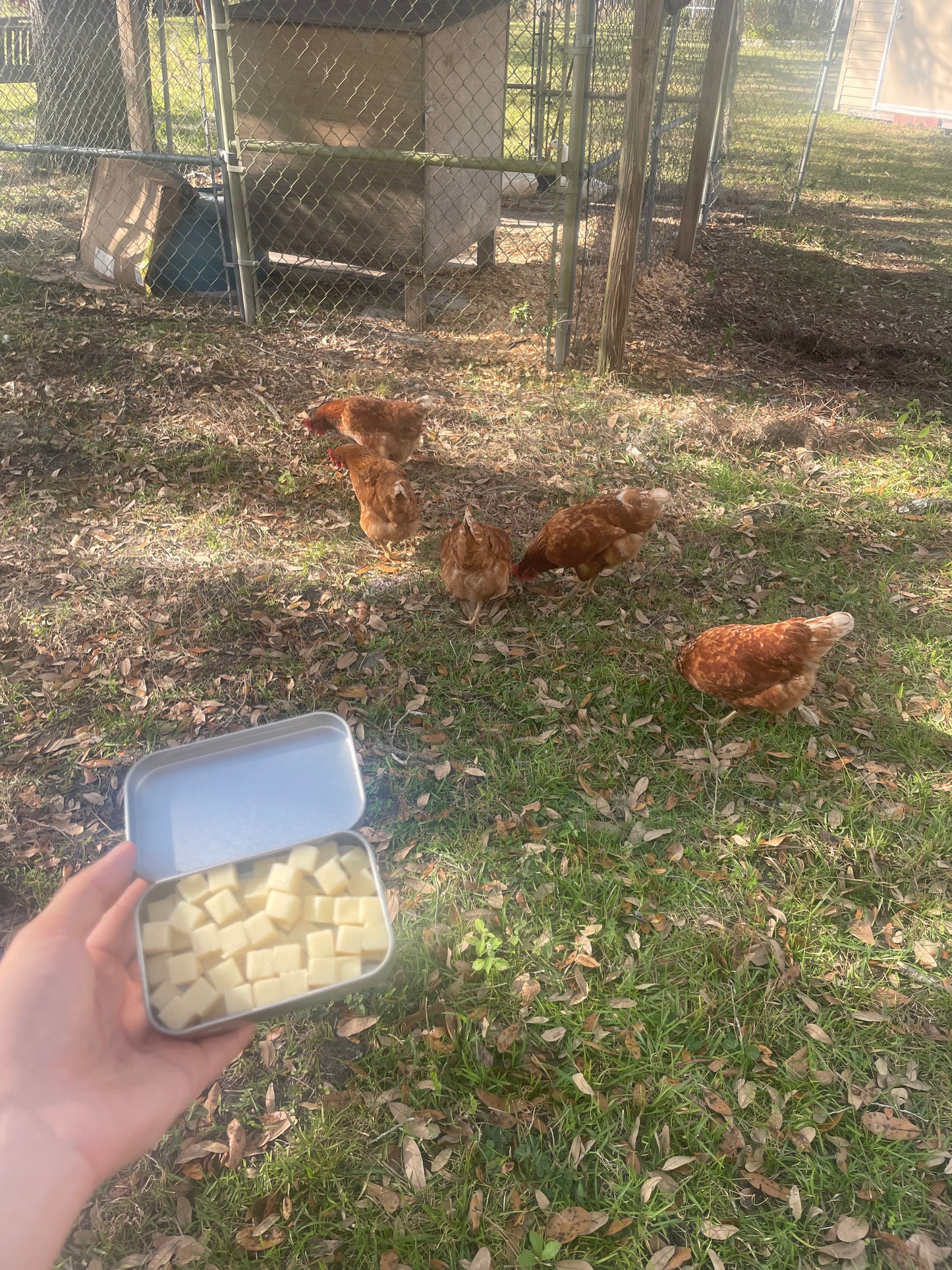 I'm always on the go! Good thing these seeds are easy to use and travel great! It was 90 degrees out and they did not melt!